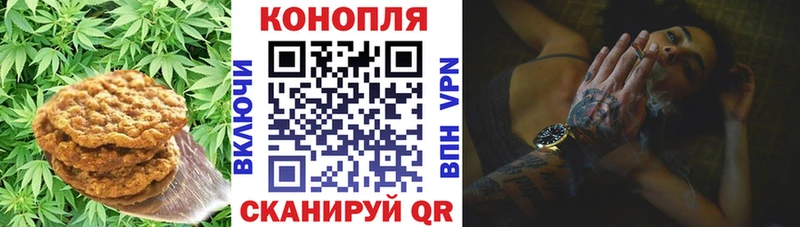 Canna-Cookies марихуана  Советская Гавань 